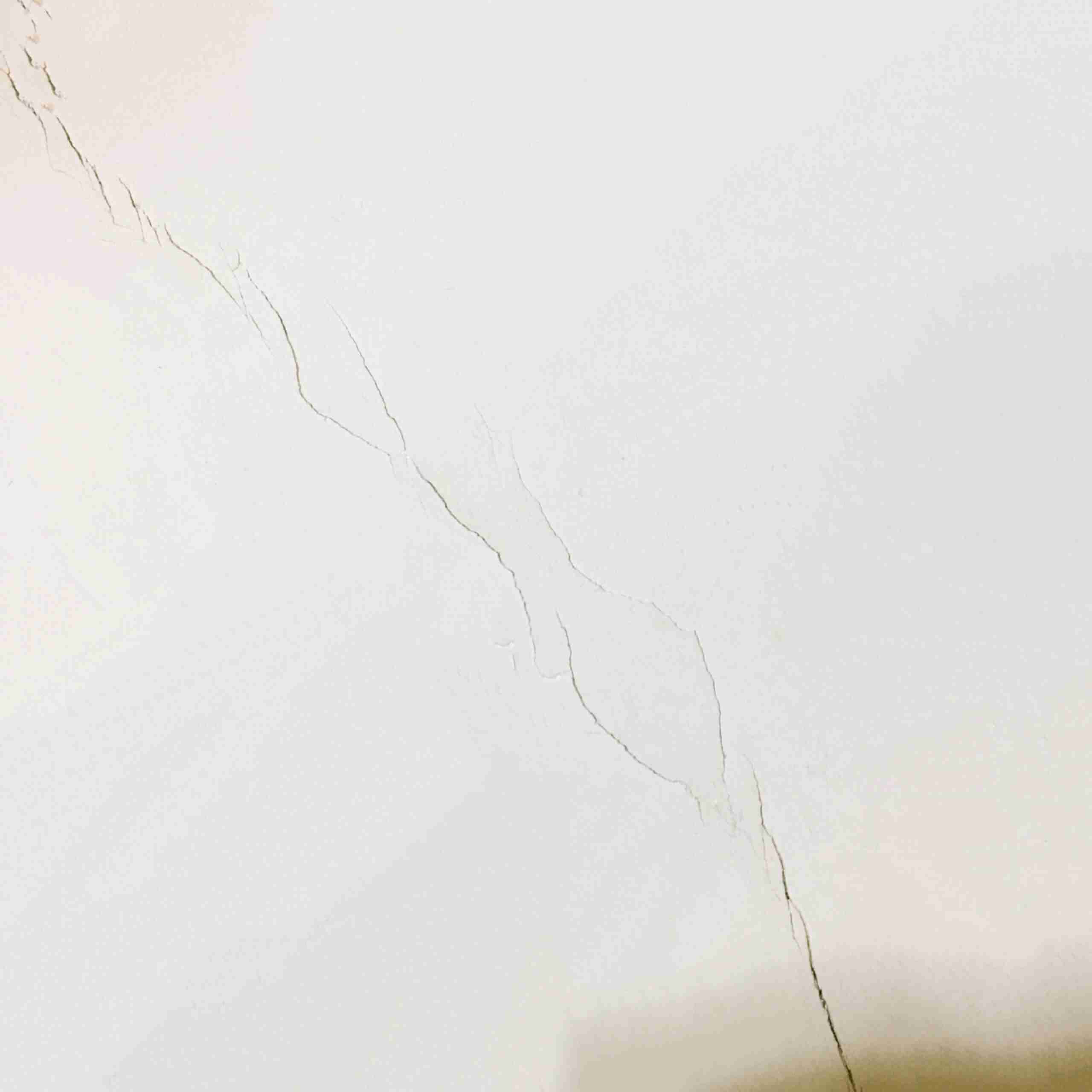 地震について真面目に考えるトピ。