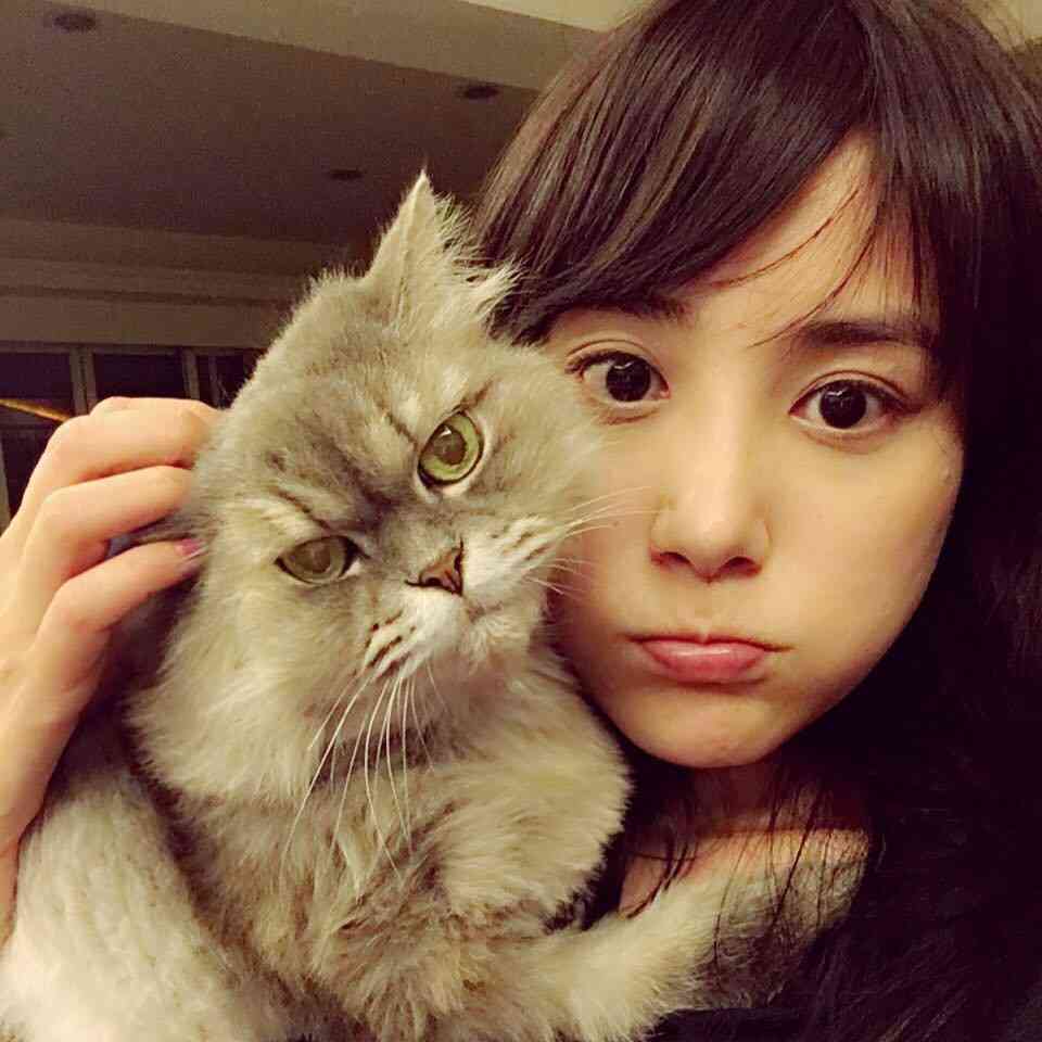 【画像あり】福原愛の義姉・江宏傑選手の姉が可愛すぎる上に才女とネットで話題に