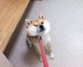 自分って◯◯