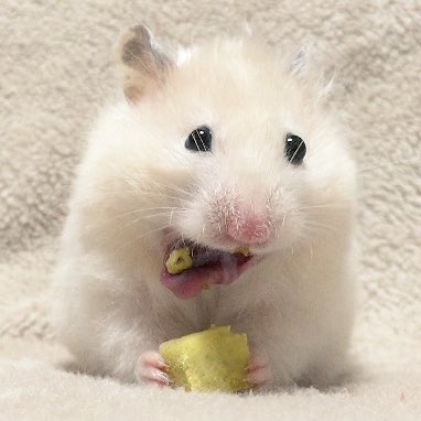 こだわりの食べ方、ありますか?