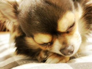 自宅にある物にプラスを押すトピ