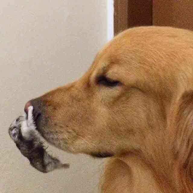 自宅にある物にプラスを押すトピ