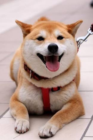 自宅にある物にプラスを押すトピ