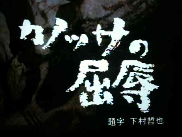 歴史用語で好きな言葉は？