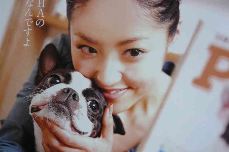 外見が好み！な女性芸能人