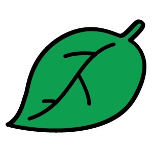 たぬき顔が似合うファッション