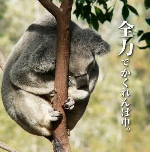 みんなが優しく受け入れてくれるトピ