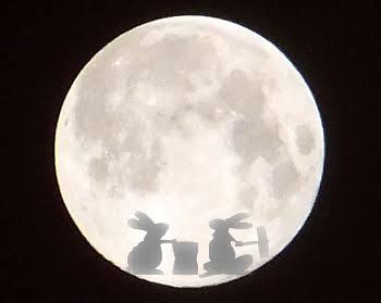 誰かに「月が綺麗ですね」と送ってみるトピ part2