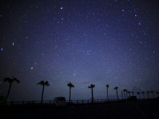 奄美大島に行った、住んでいた経験ある方！