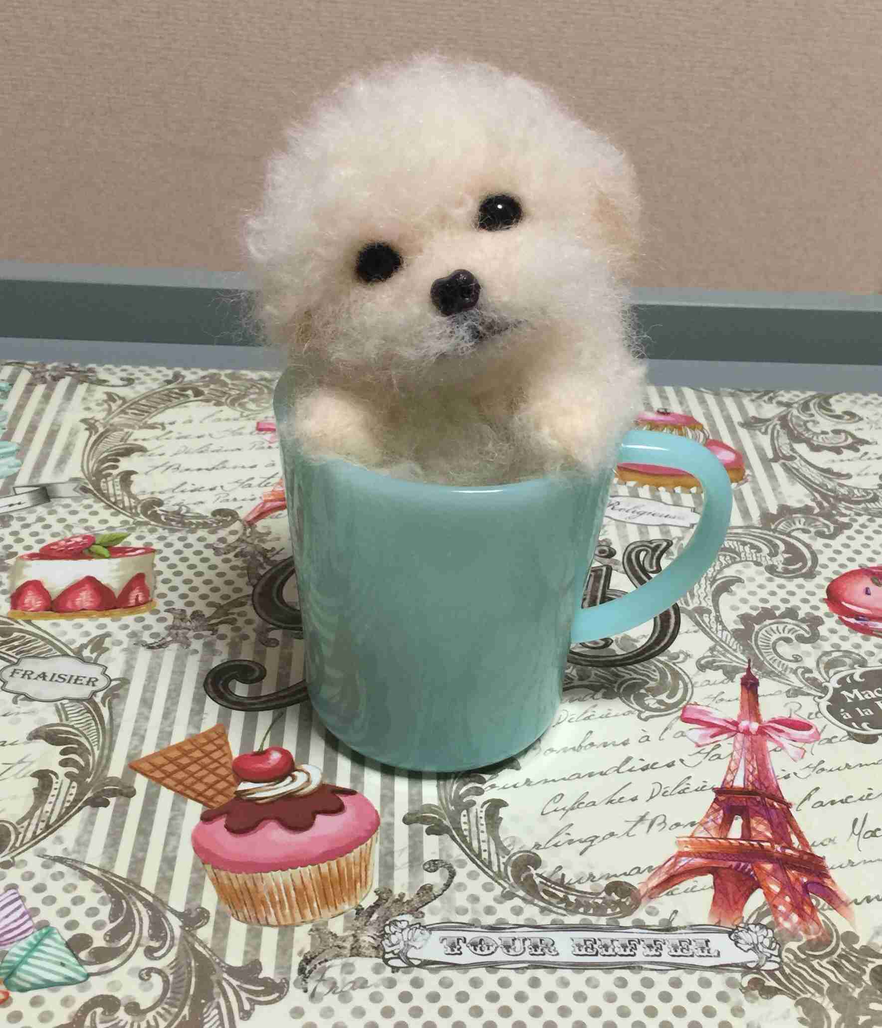 トイプードル好きな人ー!