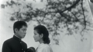 映画・ドラマで好きなカップルは？