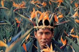 北野武の映画が好きな人