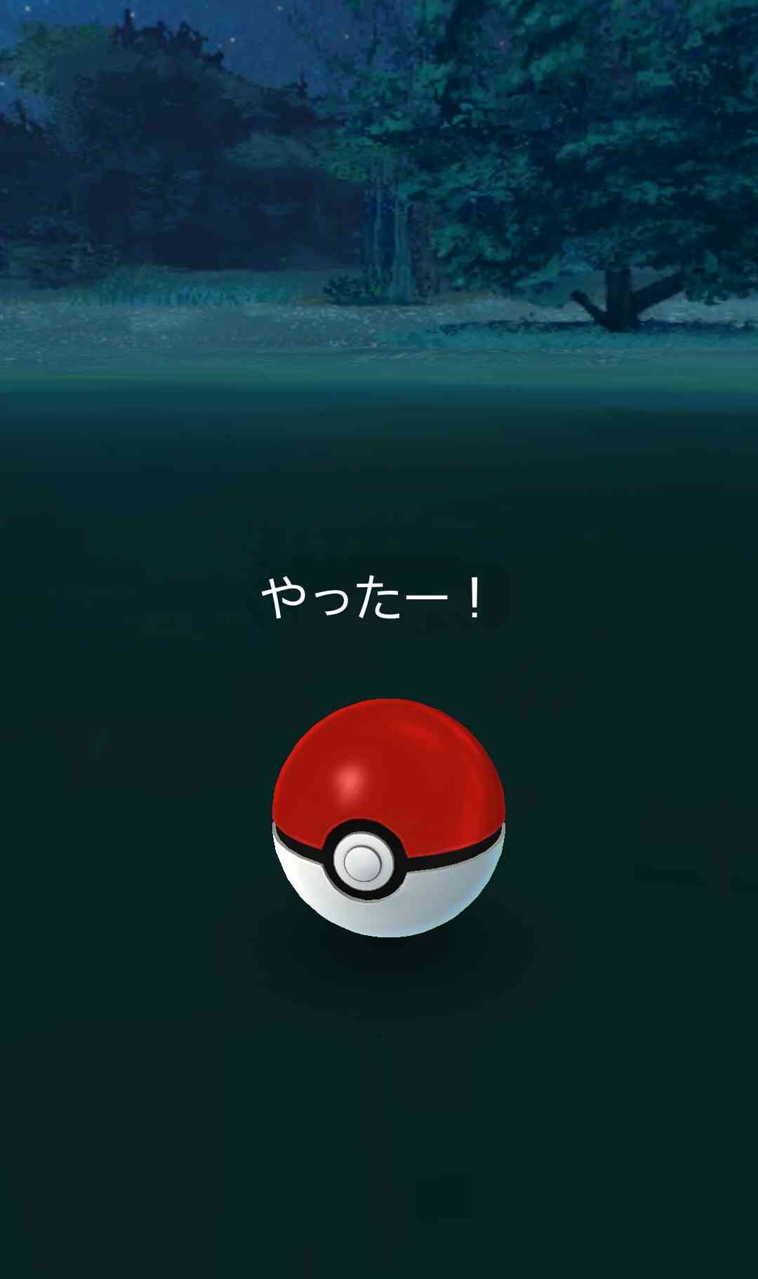『ポケモンGO』をプレイしてる方専用トピpart3