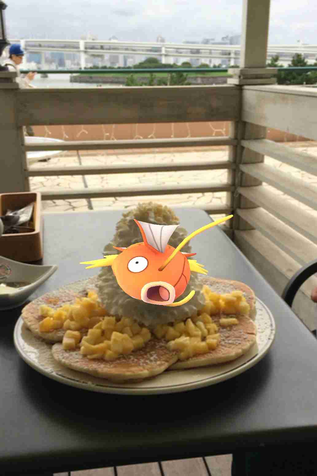 『ポケモンGO』をプレイしてる方専用トピpart3