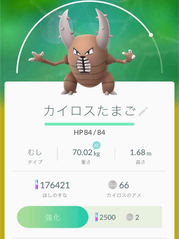 『ポケモンGO』をプレイしてる方専用トピpart3