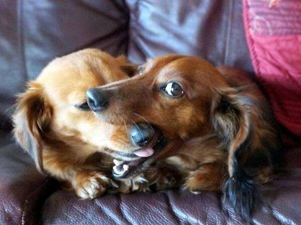 『ポケモンGO』をプレイしてる方専用トピpart3