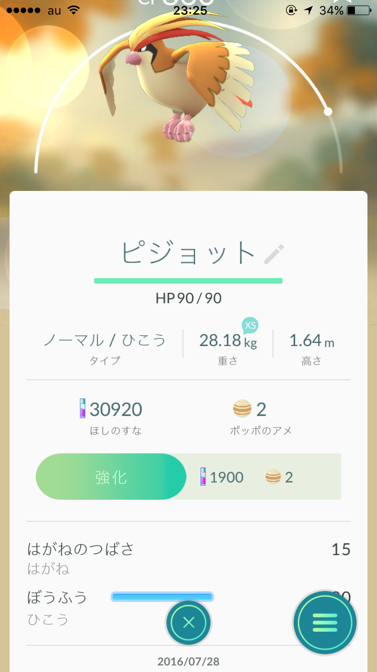 『ポケモンGO』をプレイしてる方専用トピpart3