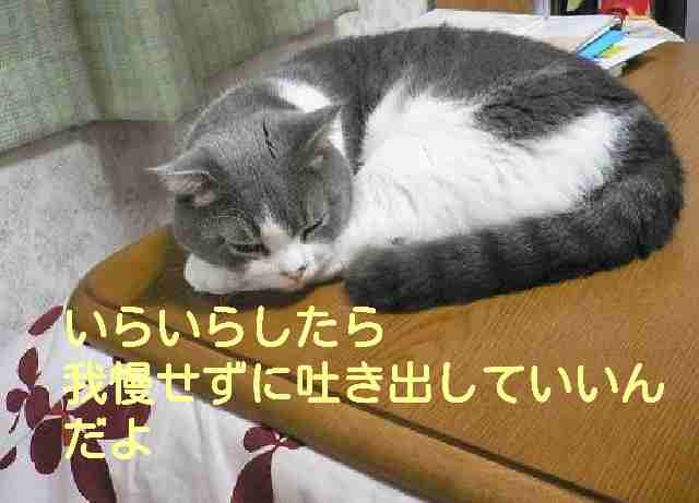 今思い返してもムカつくこと！！