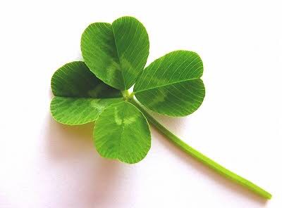 【感想・実況】金曜プレミアム・芸能界特技王決定戦TEPPEN 2016秋の陣