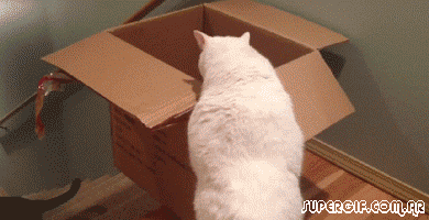 笑いが止まらなくなるトピ
