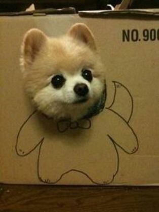 笑いが止まらなくなるトピ