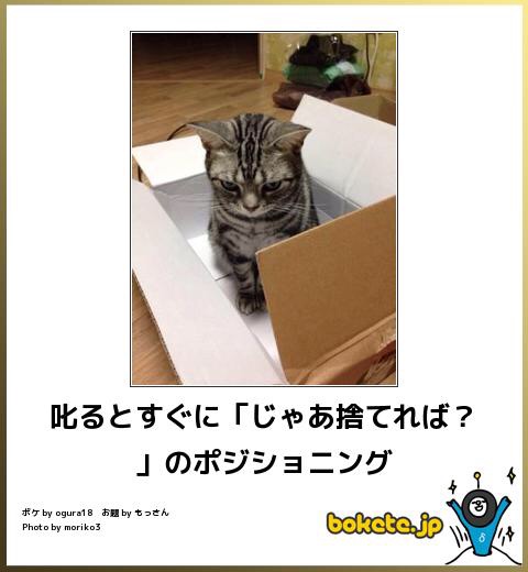 笑いが止まらなくなるトピ