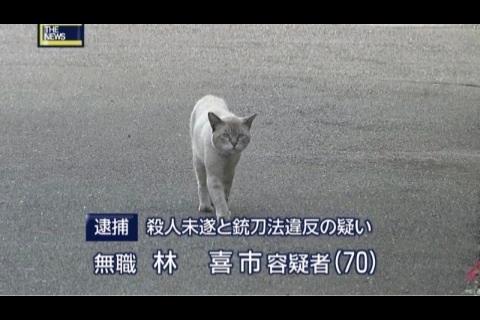 笑いが止まらなくなるトピ