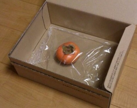 笑いが止まらなくなるトピ