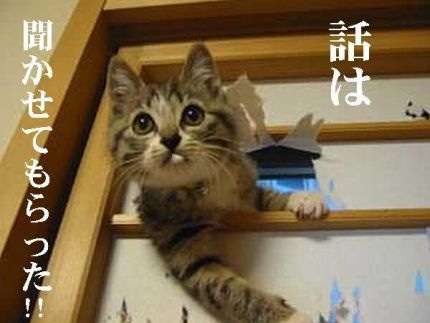 笑いが止まらなくなるトピ