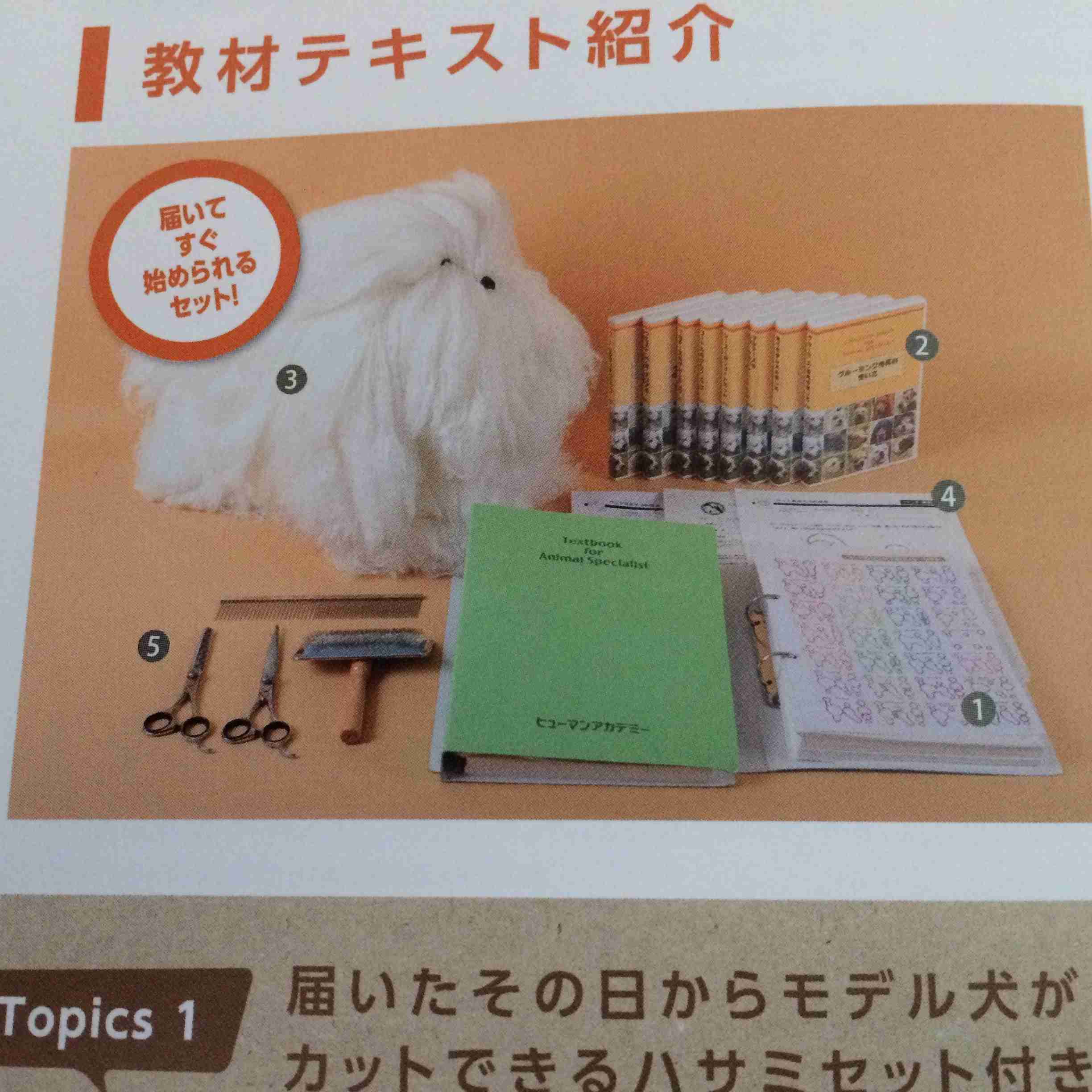 笑いが止まらなくなるトピ