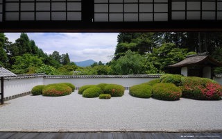 わび、さび、の画像下さい。