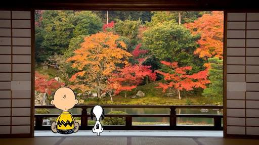 わび、さび、の画像下さい。