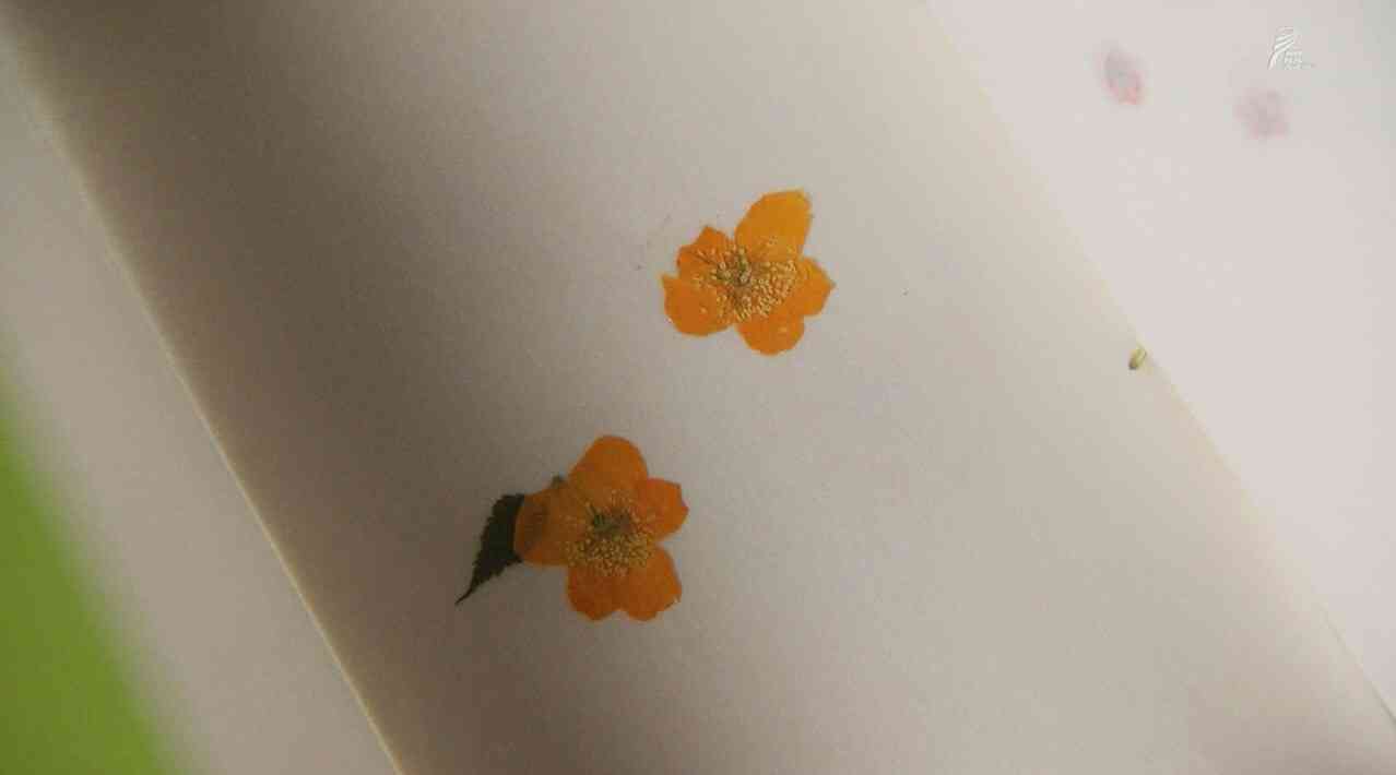 わび、さび、の画像下さい。