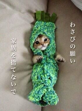 わび、さび、の画像下さい。