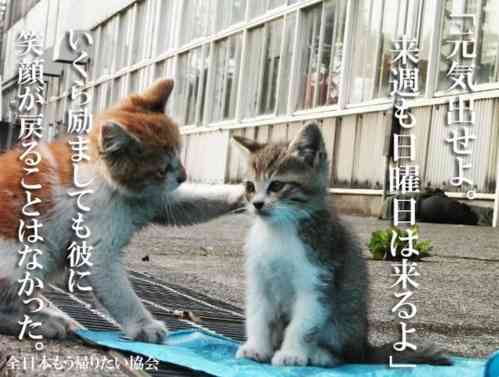 歌詞の「あなた」を「土日」に替えて、休日との別れを惜しむトピ