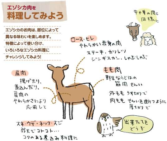 ガルちゃんで画像（サイト）を貼り付ける方法＆練習Part12