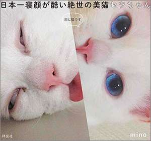ガルちゃんで画像（サイト）を貼り付ける方法＆練習Part12