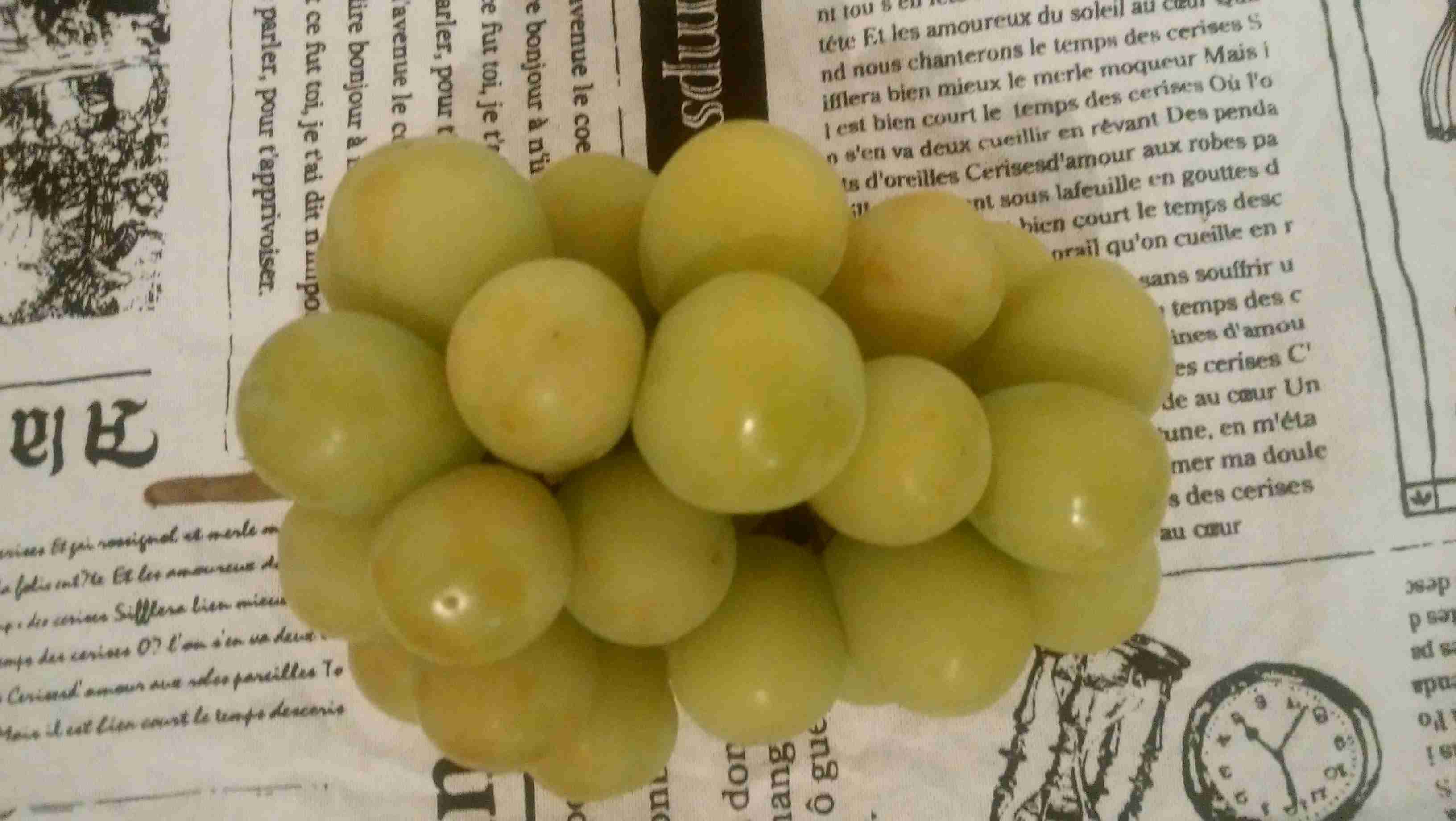 秋の味覚何食べましたか？