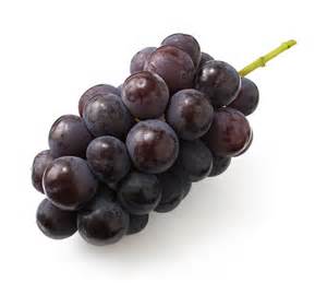 秋の味覚何食べましたか？