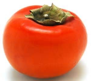 秋の味覚何食べましたか？