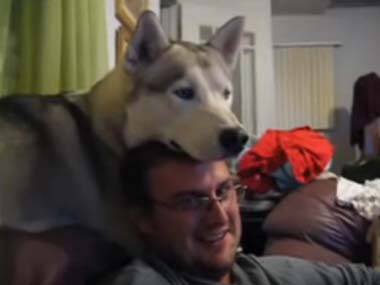 犬あるある
