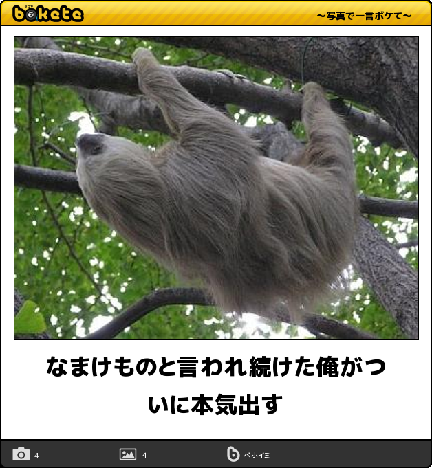 省エネ体質な方ー!