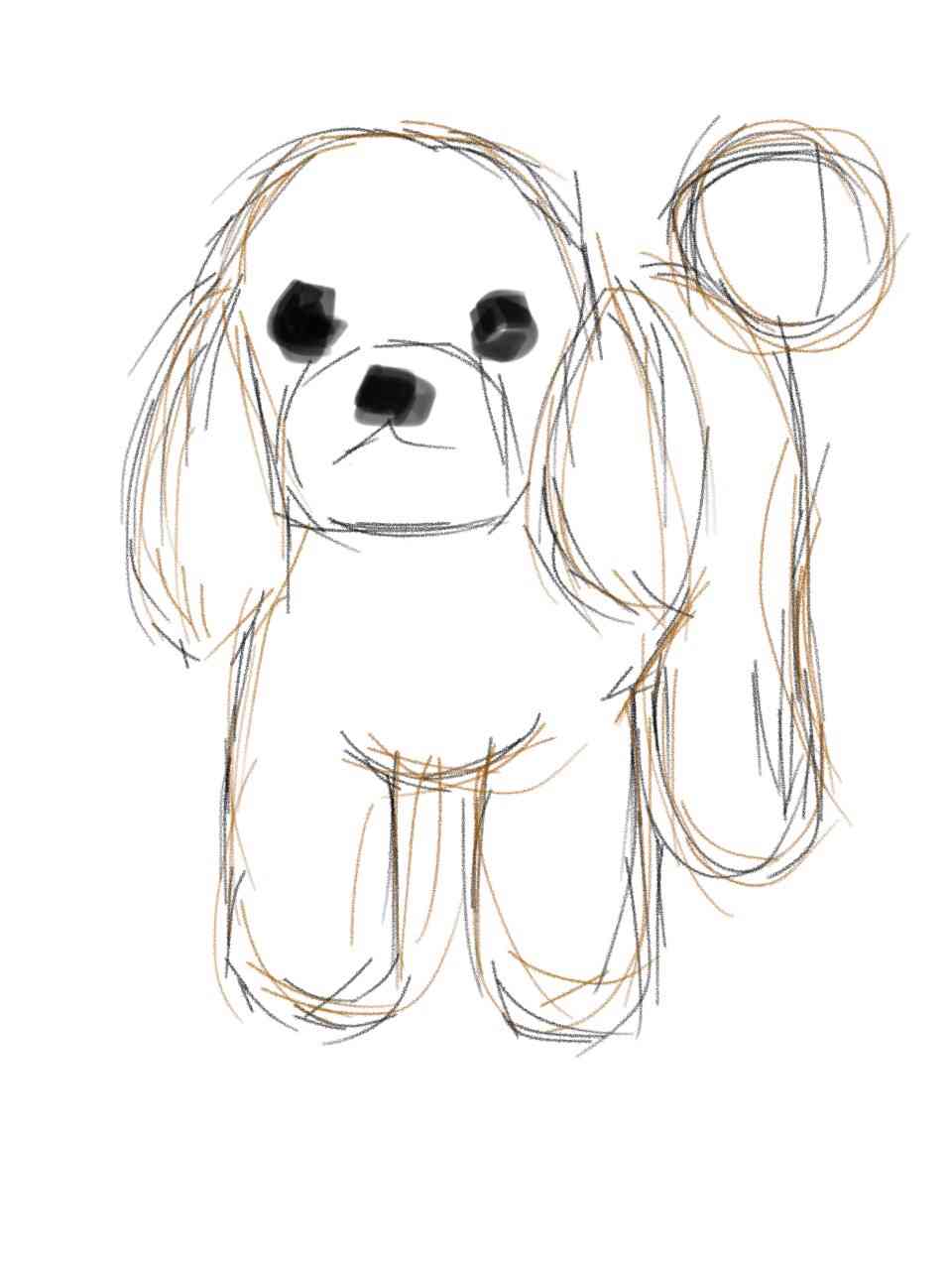 生き物を描こう！