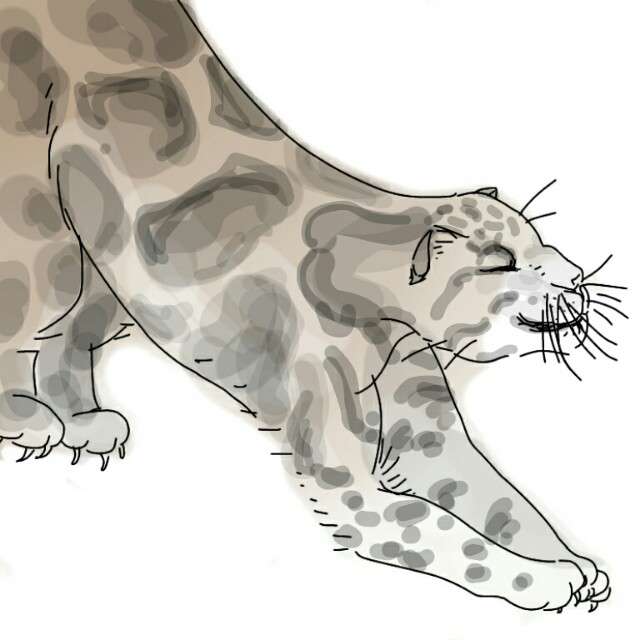 生き物を描こう！
