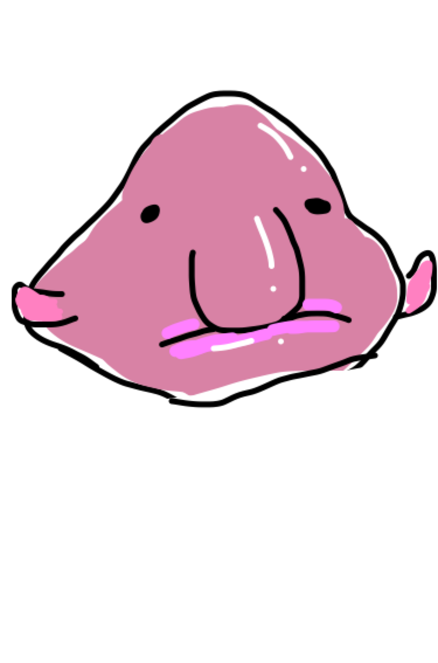 生き物を描こう！
