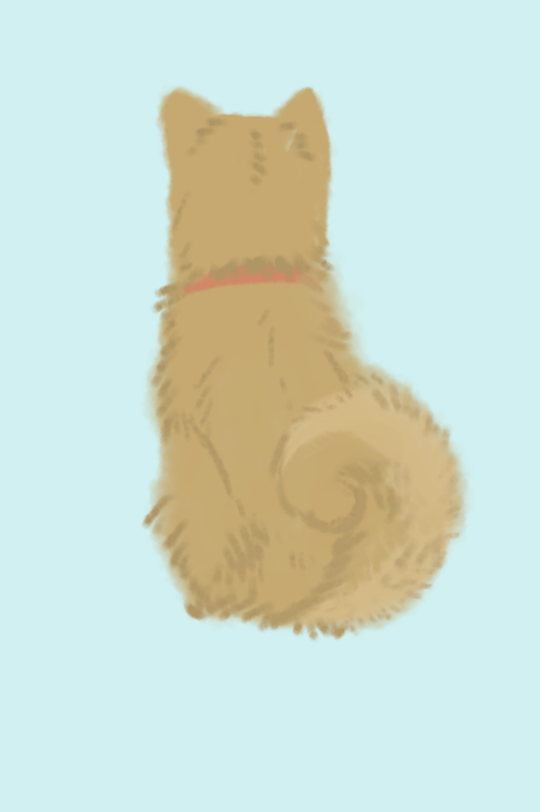 生き物を描こう！
