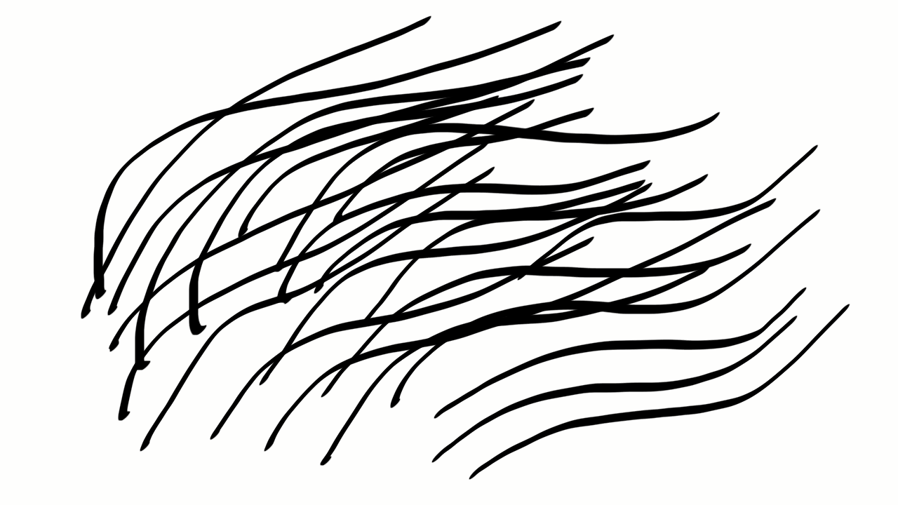 生き物を描こう！