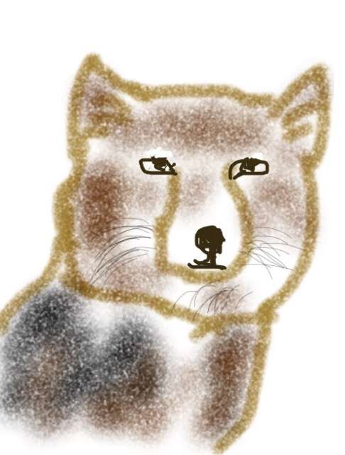 生き物を描こう！