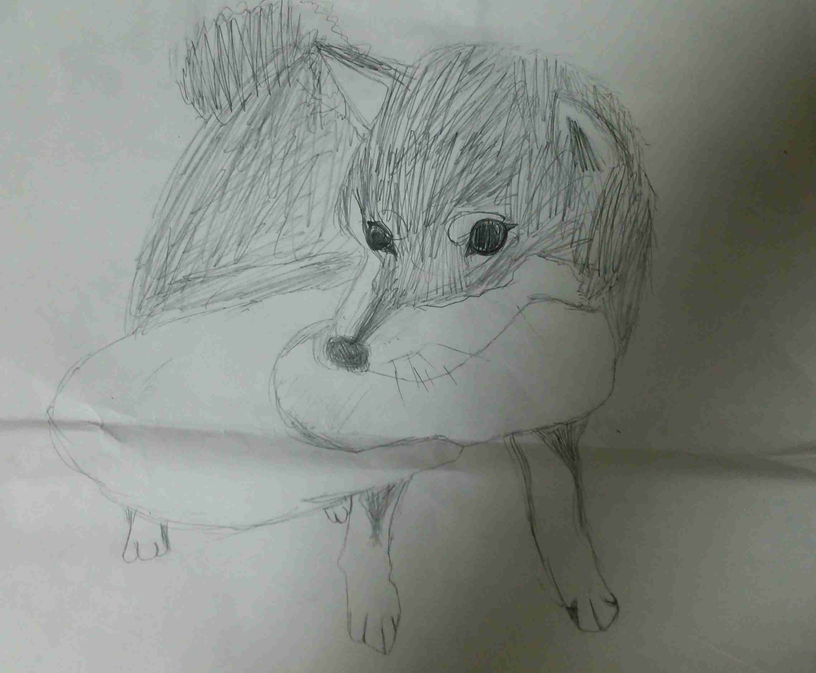 生き物を描こう！