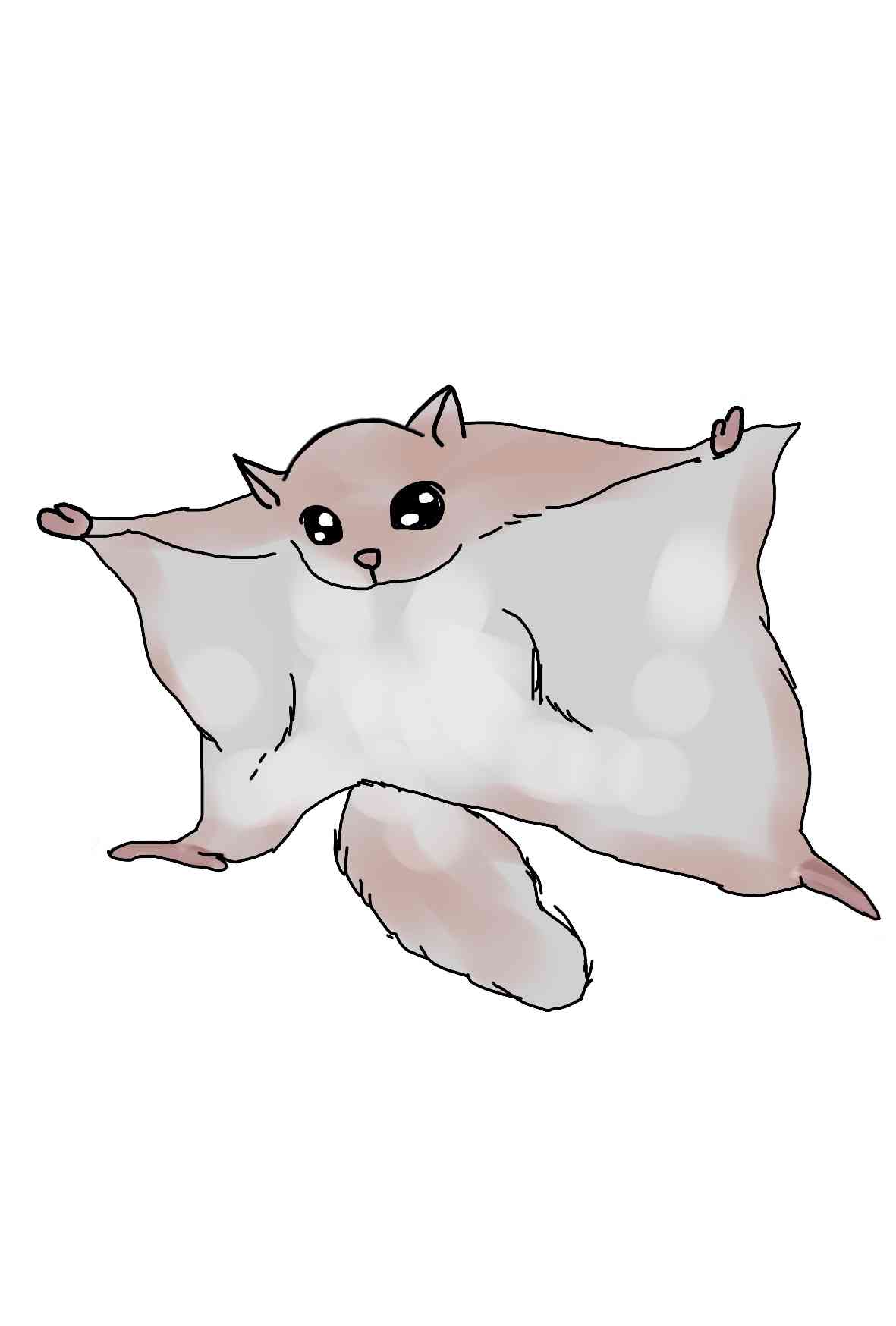 生き物を描こう！